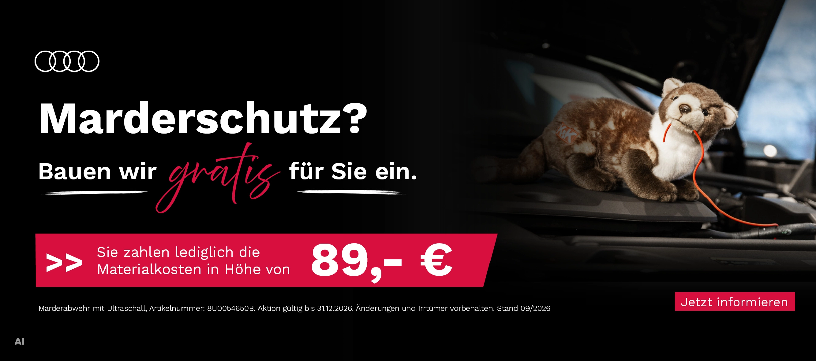 Marderschutz