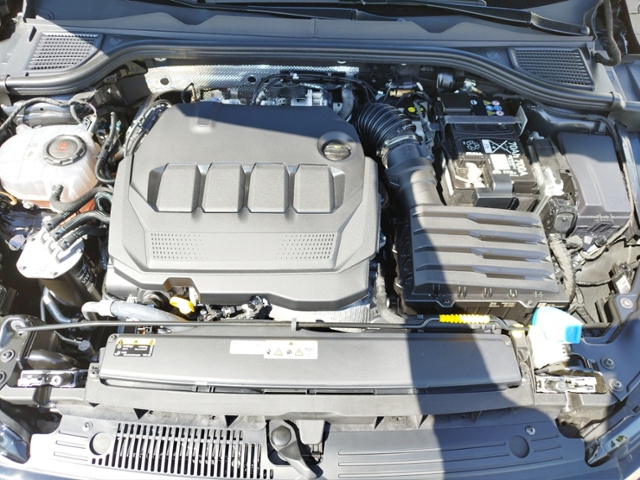 Golf VIII Variant Alltrack 2.0TDI DSG 4Motion Na