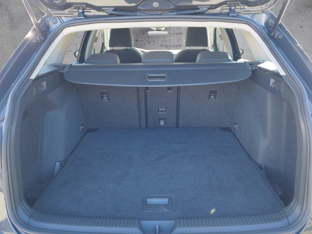 Golf VIII Variant Life 2.0 TDI AHK/IQ.DRIVE/NAV