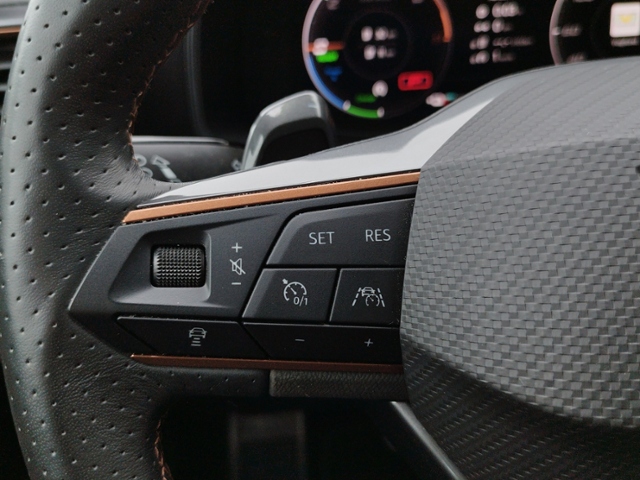 Formentor VZ 1.4 TSI eHybrid DSG MATRIX/AHK/360°