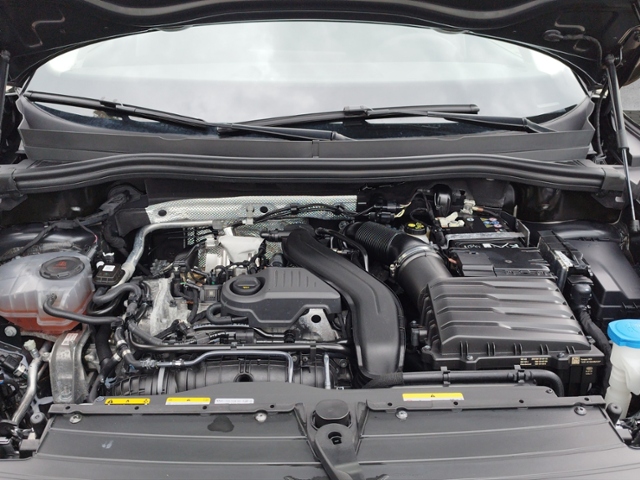 Tiguan Goal 1.5 eTSI DSG AHK/LED+/360°/SHZ