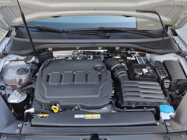 Passat Variant Business 2.0 TDI DSG AHK/360°
