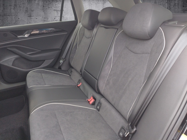 Passat Variant Business 2.0TDI DSG/AHK/Traileras