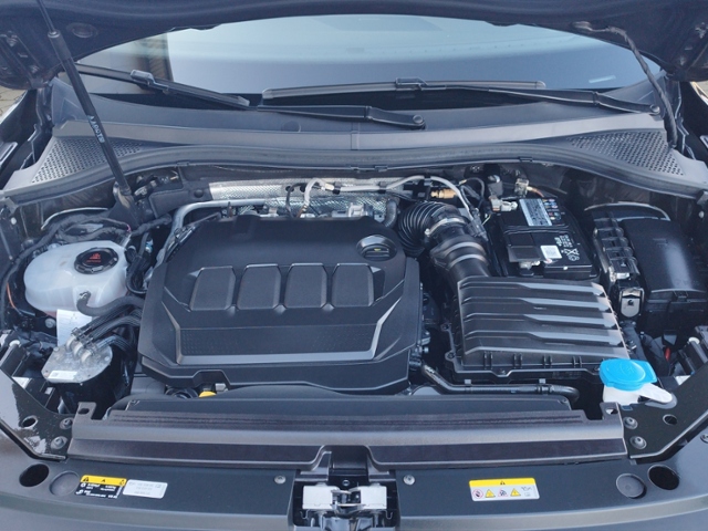 Tiguan Active 2.0 TDI NAV/SHZ KLIMA LED NAVI