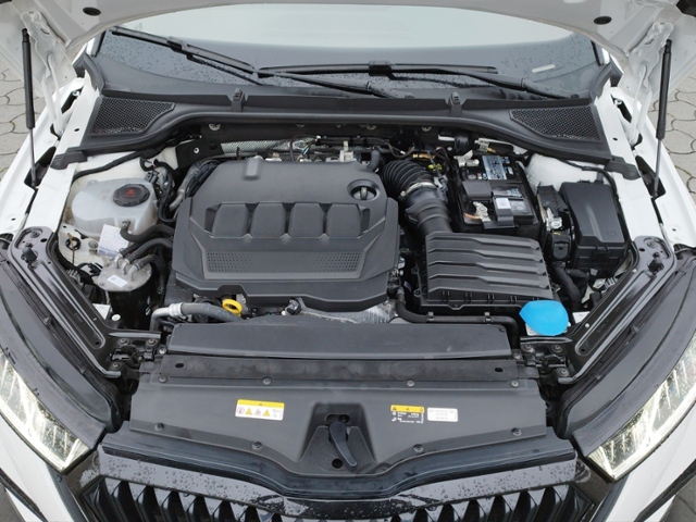 Octavia Combi RS 2.0 TDI DSG NAV/SHZ/LED KLIMA L