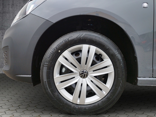 Caddy Maxi Cargo 2.0 TDI L+S/SHZ/RFK/VORB.AHK