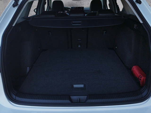 Golf VIII Variant Goal 1.5 TSI AHK/LED+/RFK/IDA