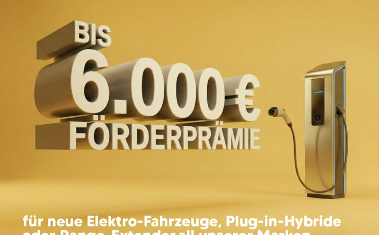  Förderprämie E-Fahrzeug