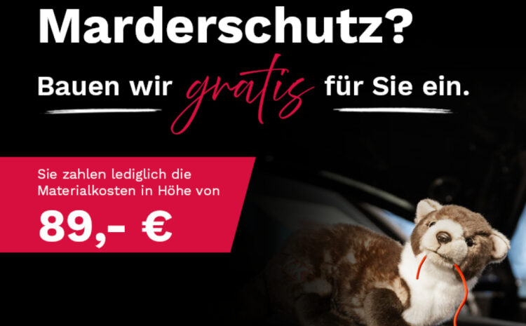  Marderschutz