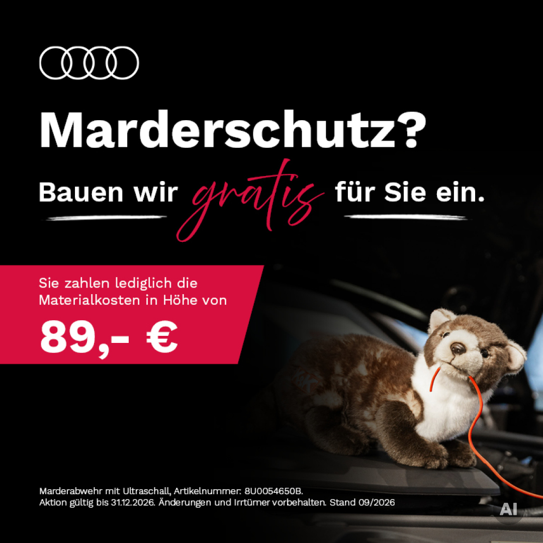 Marderschutz